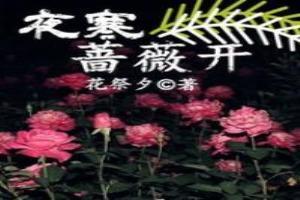 夜寒薔薇開