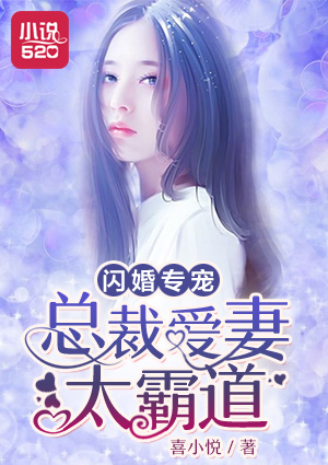 閃婚專寵：總裁愛妻太霸道