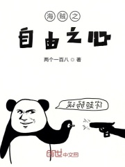 海賊之守護之鎧